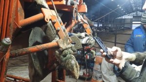 29811повязка.mp4