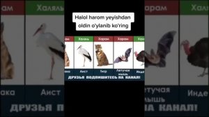 халал и харам
