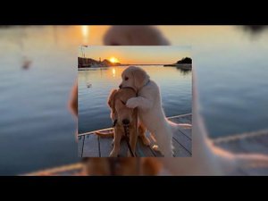 Теплый плейлист, чтобы не переживать об экзаменах||ru/jp playlist (^_^♪)