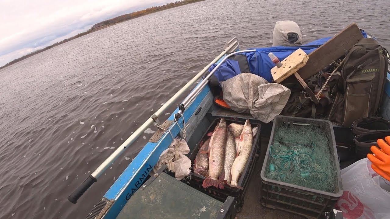 Ночная Рыбалка Сплавными Сетями! смотреть онлайн