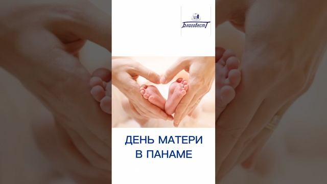 Какой праздник сегодня 8 декабря #благовест #АндрейЛишин  #sizovsproduction#топ #праздник #Мотивация