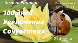 100 дней Увеличения Сочувствия Д.З.(2 Неделя)Чогьял Ринпоче27 02 2022