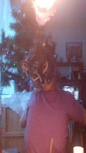 делаю что то