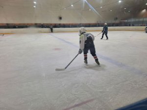 игра ХК Сатка- ХК Сигнал
ледовая арена Алмаз