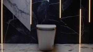 Эпичное видео умного унитаза.
Топовая модель электронного унитаза-биде от Panasonic СH 2711