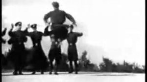 клен кудрявый.flv