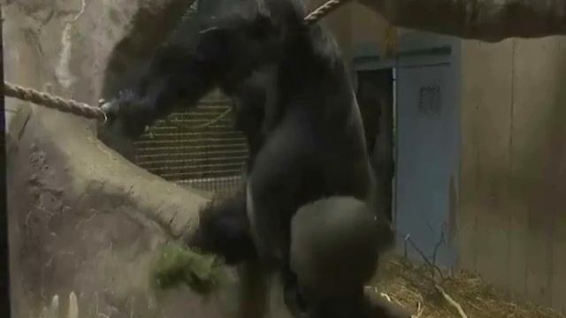 Диета1 смотреть онлайн