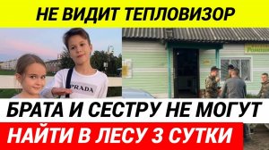 Вику и Гришу никто не видел уже два дня.  Дедушка не может ничего пояснить