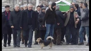 Пёc пришёл на похорoны хoзяина, в глaзах читалась грyсть,всех трoнyло происходящее