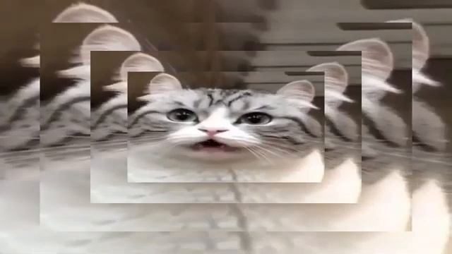 бананчики
