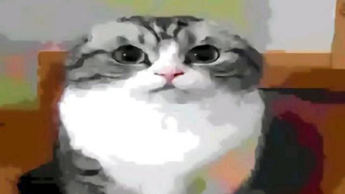 вес