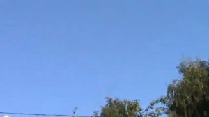 Пермские голуби.