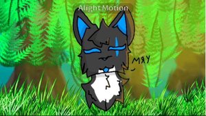 Коты воители / Мяу всем!