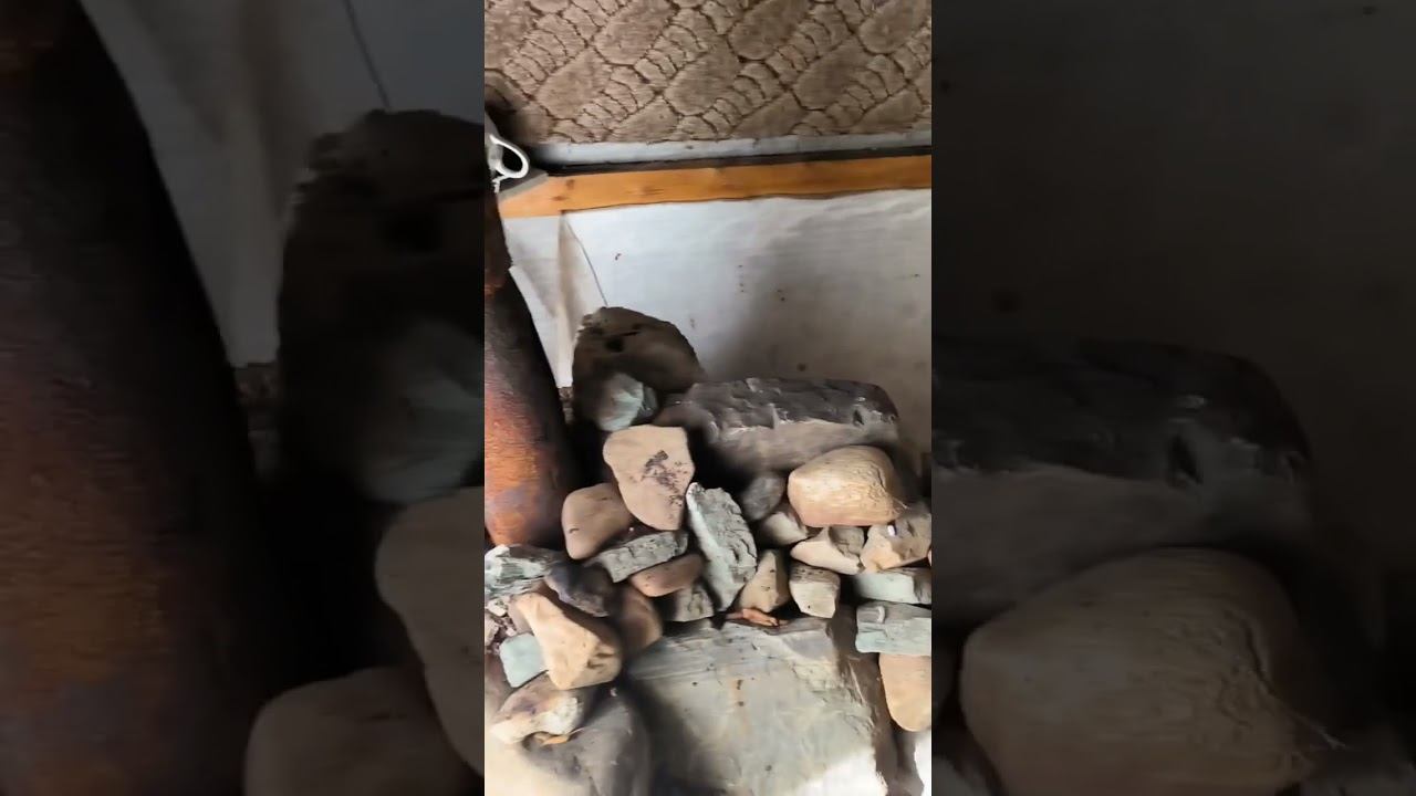 Рыбацкая избушка. #рыбалка #лето #избушка #лес #охота #охотарыбалка #fishing смотреть онлайн