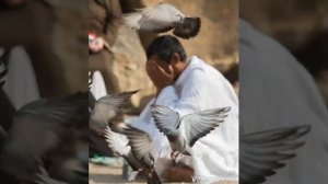 Самое грустное видео