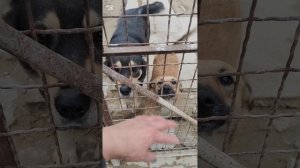 Видео для бакинцев. Нужна мужская помощь