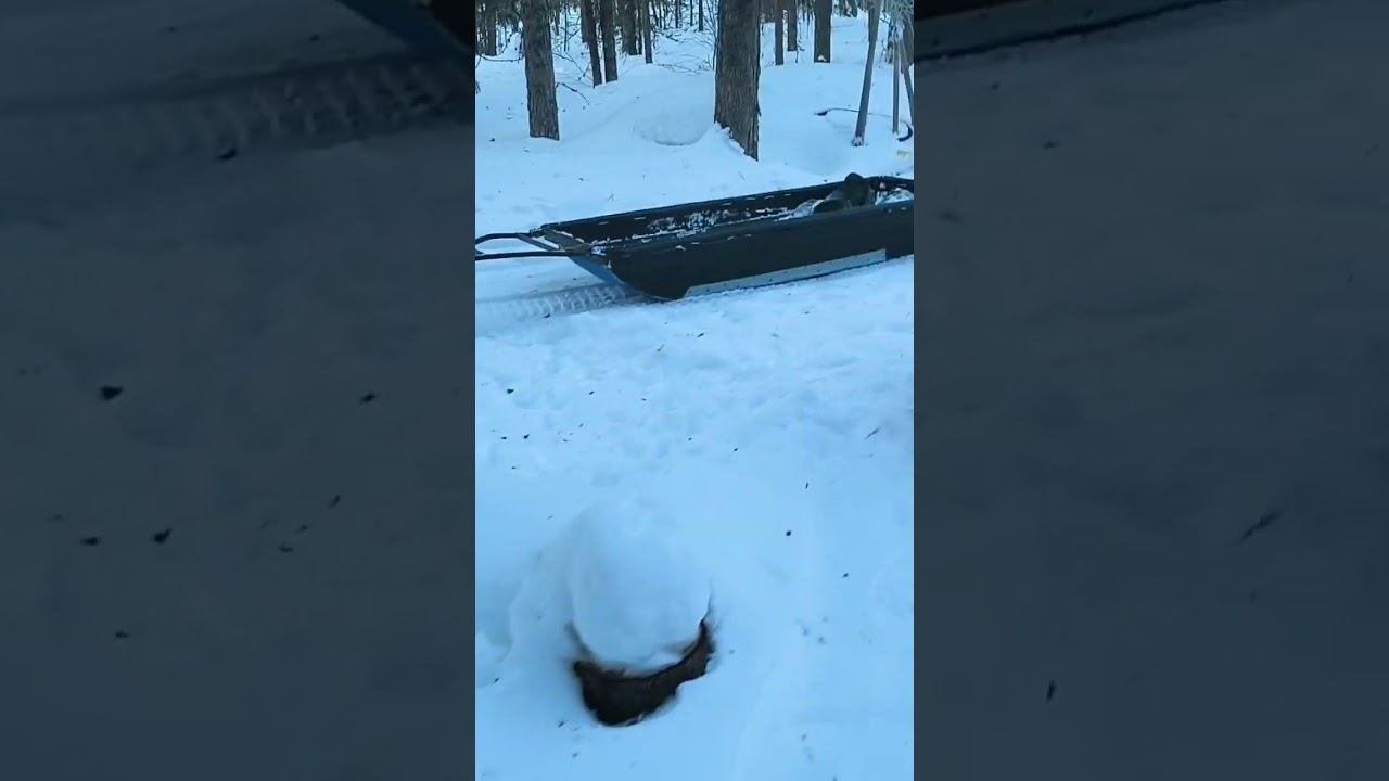 Морозное утро в тайге перед рыбалкой! #рыбалка #охота #еда #тайга смотреть онлайн