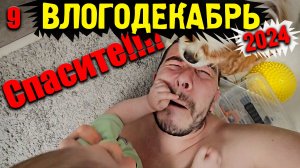 Влогодекабрь 2024 - Спасите МЕНЯ!!!!!!!!!!!!!!!!!!!!!!!!!!📍