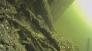 1000034974.mp4Дно Волги.08.12.2024г.