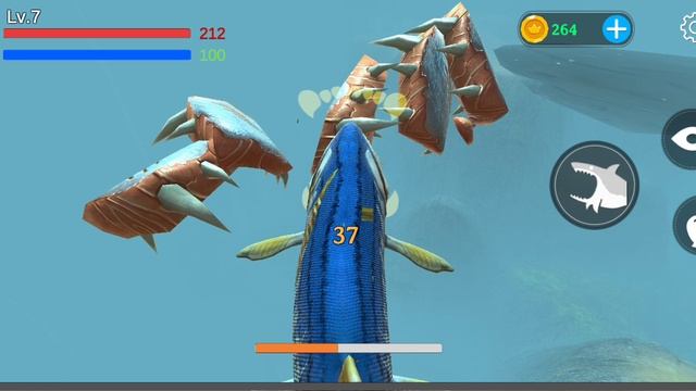 Fish Feed S Grow