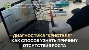 Диагностика "Кристалл" - как способ узнать причину отсутствия роста. ЦИОТ "Сфера"