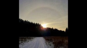 08-12-2024 утренняя зимняя прогулка....