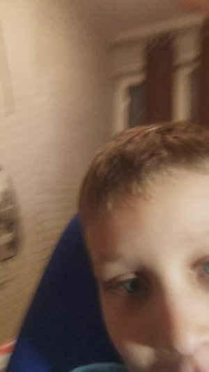 вторая часть продолжение показывай свою кошку