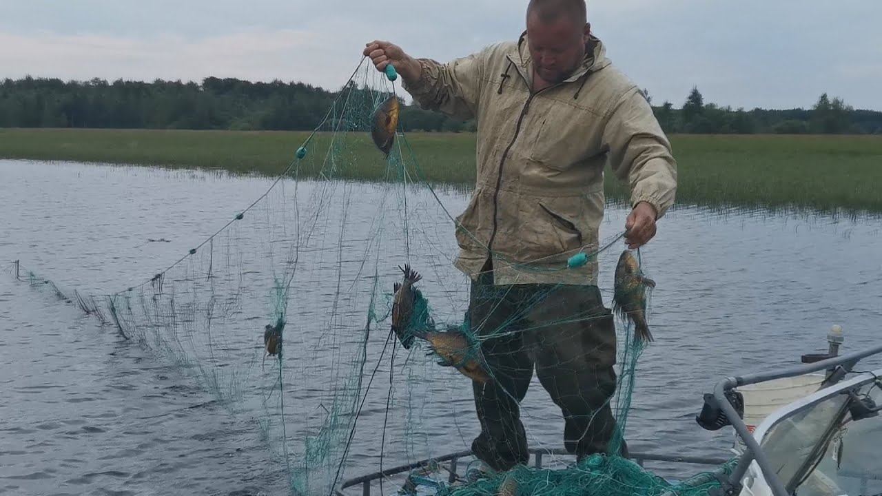 ⚡Рыбалка на Сети. Огромные Караси - Лапти Рвут Сети!!!!!! смотреть онлайн