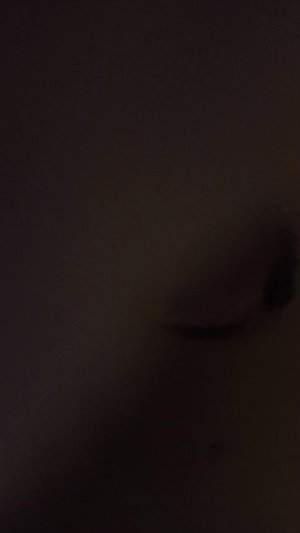 влог таба лапками