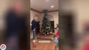 Best video of Tik Tok! 08.12.24 / 05