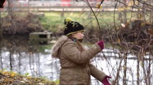 Кто ж такие птички