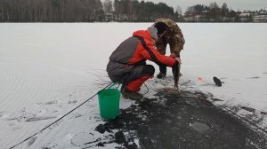 Мамка щука открыли зимнюю рыбалку на жерлицы