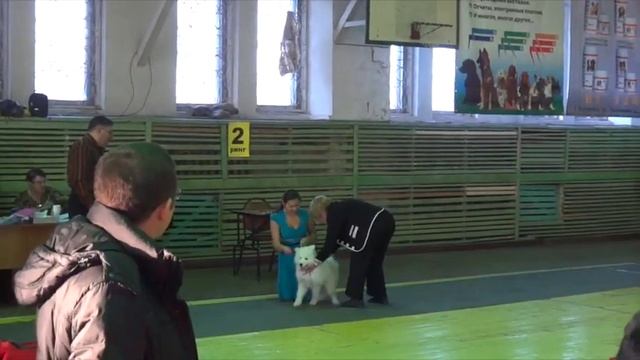 2013-11-30 Дели смотреть онлайн