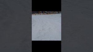 Авито, проверка дом хоббита 2