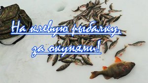 Клевая рыбалка в Сибири/окунь монстр мормышки рвет