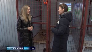 Интервью с директором благотворительной организации «Верность» Еленой Афровой