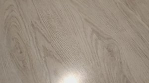 Новая собачка!?//Знакомство с собакой! СКОРО БУДЕТ ЕЩЁ СОБАКА?!