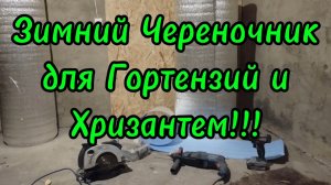 🌲🌳Делаем зимний череночник для Гортензии и Хризантем🌳🌲