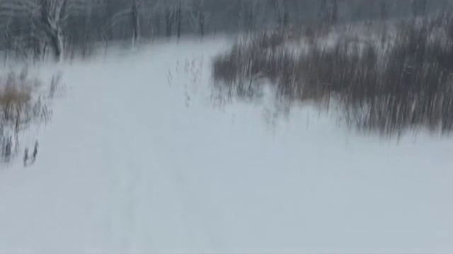 ляля