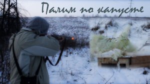 Стрельба из ружья по бутылкам, книгам и КАПУСТЕ в замедленной съемке