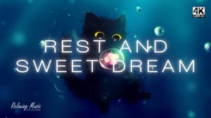 Rest and sweet dream | Lofi Hip-Hop Music Relaxing Background Playlist | 4K ULTRA HD