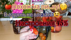 20.09.2023 И МНЕ НЕ ОСТАВИЛИ!😔6л. БОРЩА!😳ЕЙ ПЛОХО!💢УРОЖАЙ НА БАЛКОНЕ!😀БЛИНЫ С ИКРОЙ!😋