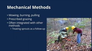 Identification and Control of Woody Invasive Plants