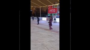 Канал "Звери и приключения" на катке!