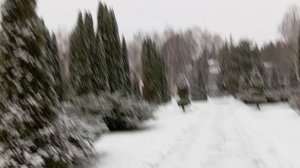 Видео от Ирины Фоменко 06.12.24.