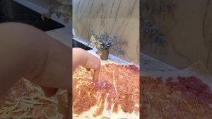 Закуска из лаваша на мангале | Лаваш с фаршем на мангале |