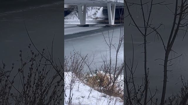 Зима в городе! Что на водоемах?