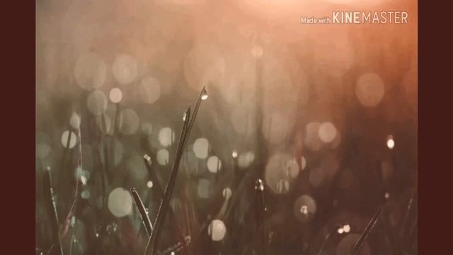 ПЕСНЯ / КРАСНЫЙ САРАФАН смотреть онлайн