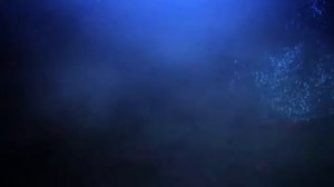 [AMV] Fate/stay night: Unlimited Blade Works - Martin Garrix & MOTi - Virus