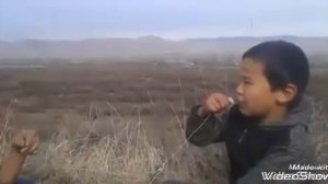 кыргыз кино жаны